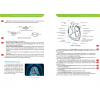 REPETYTORIUM MATURA 2024 BIOLOGIA + TABLICE