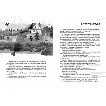 PAMIĘTNIK CZARNEGO NOSKA Janina Porazińska GREG TW